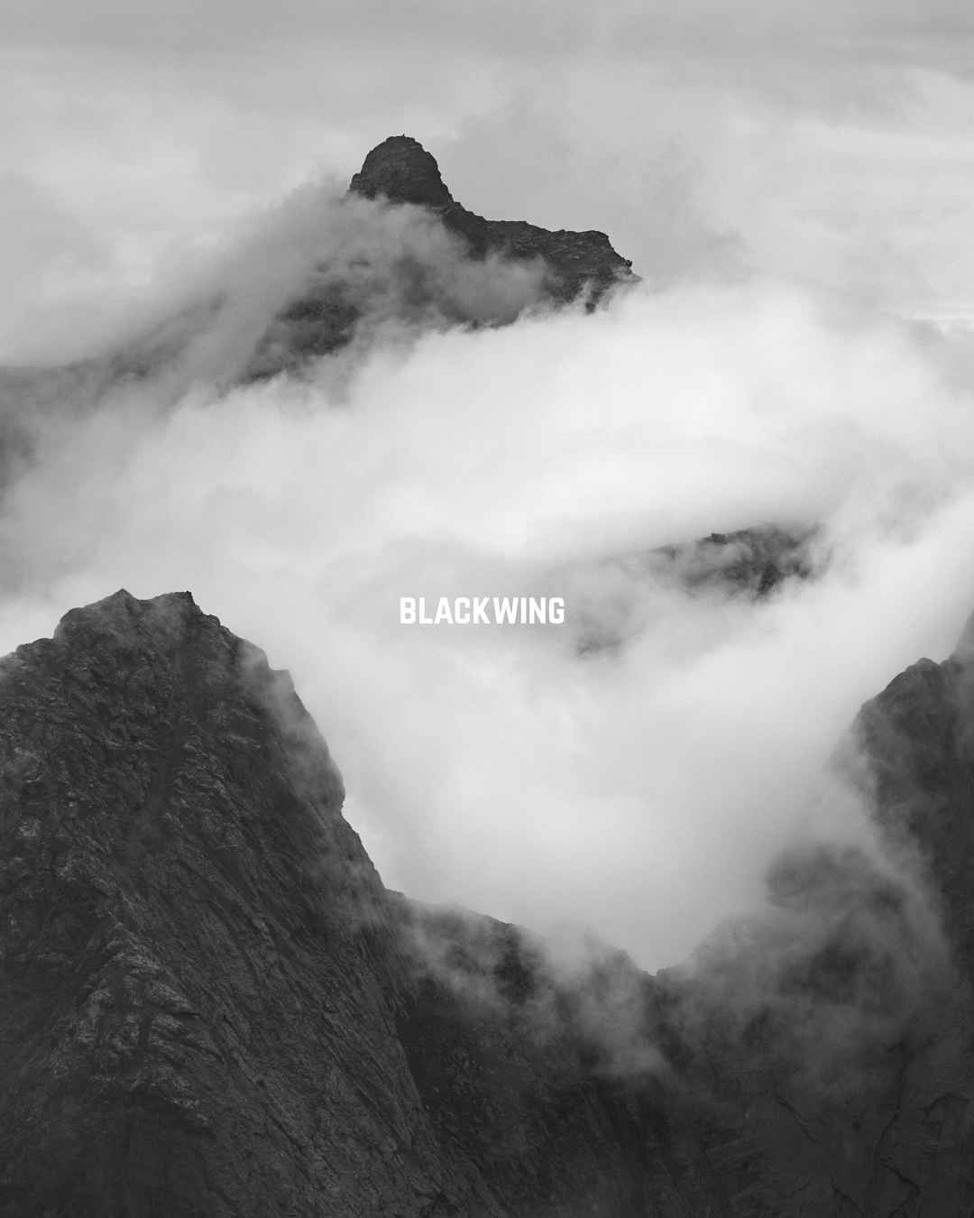 Blackwing Collection