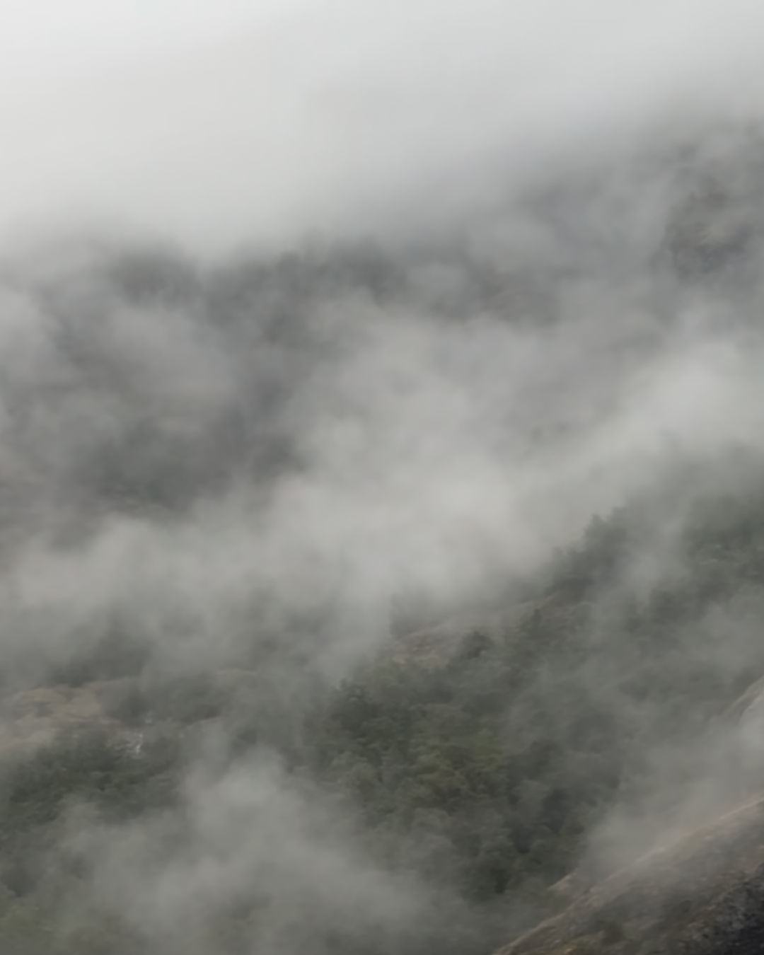 The Northrune Pant: Carbon Neutral