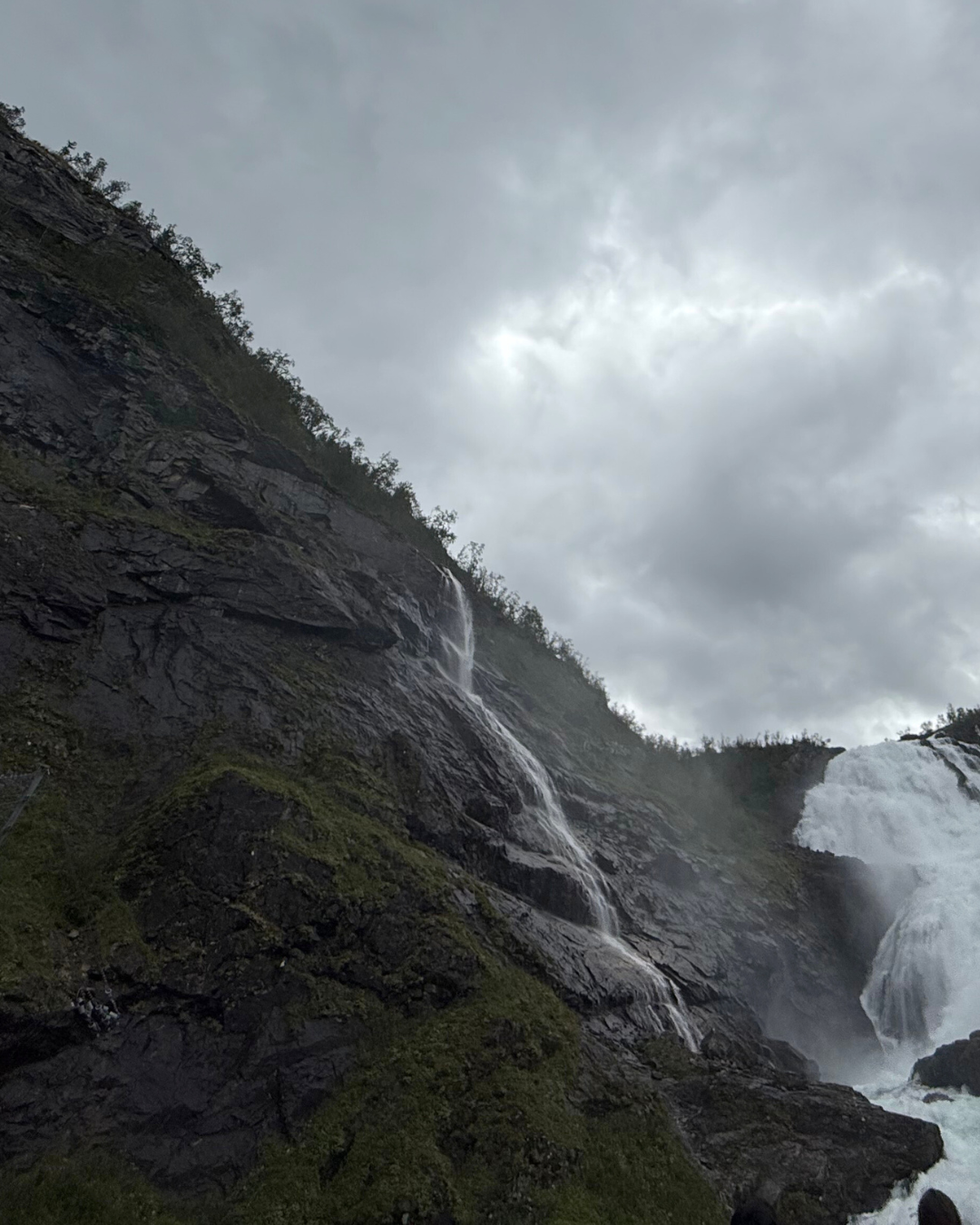 The Northrune Beanie: Carbon Neutral